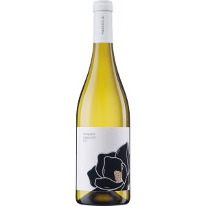 2024 Magnolia Trebbiano d'Abruzzo DOC